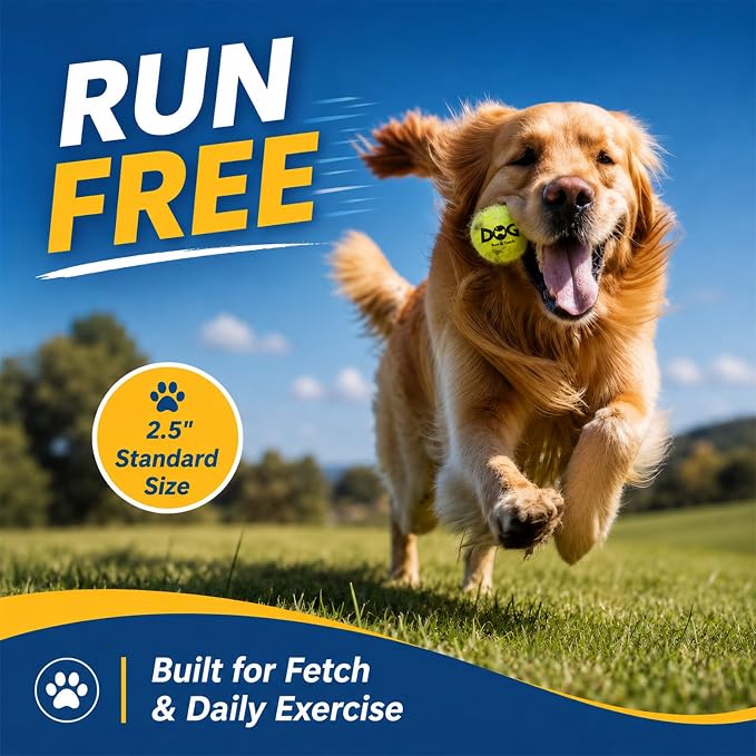 INSUM Squeaky Tennis Balls for Dogs - 12 Pack 2.5'' Durable Non-Toxic Outdoor Dog Toys Balls with Mesh Bag, SGS Certified, Colorful Fetch Toys, Medium Large Breeds