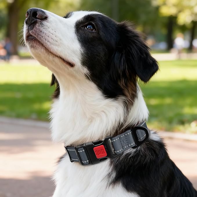 Taglory Reflective Dog Collar for Medium Dogs, Soft Neoprene Padded with Escape-Proof Locking Buckle, Upgraded Zinc Alloy Ring, Adjustable for Walking Female Male, Grey,M