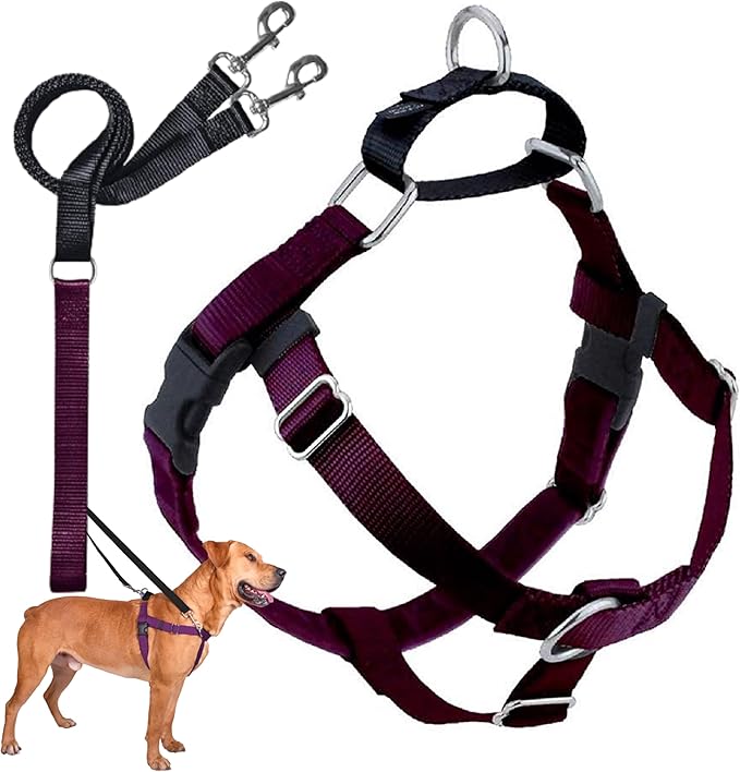 2 Hounds Design Freedom No Pull Dog Harness, Adjustable Harness and Leash Set, Easy Walking & Comfortable Control, Fits Small, Medium & Large Dogs, Solid Colors, Made in USA, 5/8" SM, Burgundy