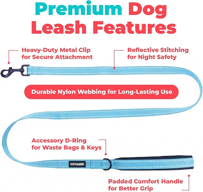 Best Pet Supplies Voyager Reflective Dog Leash or Collar with Neoprene Handle, for Small, Medium, and Large Breed Puppies, Cute and Heavy Duty for Walking, Running and Training - Baby Blue (Leash), S