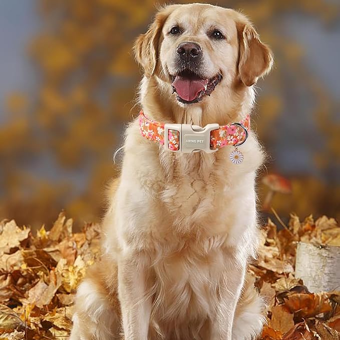 ARING PET Spring Summer Dog Collar, Cute Daisy Wildflower Floral Blossom Pet Collars for Small Medium Large Girl Dogs-M Size