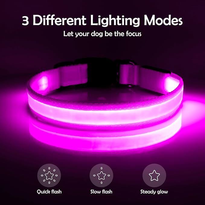 VIZPET LED Dog Collar, Light Up Dog Collar Adjustable USB Rechargeable Super Bright Safety Light Glowing Collars for Dogs (Purple, Medium[14.96-19.68 inch/38-50cm])