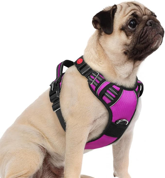 rabbitgoo Dog Harness Small Sized, 3 Buckles Easy On & Off No Pull Pet Vest, Soft Padded Walking Pet Harness with Control Handle, Adjustable and Reflective, Purple, S