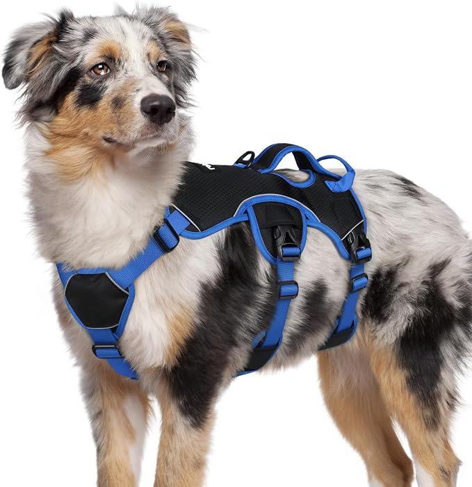 rabbitgoo Escape Proof Dog Harness Large Dogs, Soft Padded Full Body Pet Harness, Reflective Adjustable No Pull Vest with Lift Handle and Leash Clip for Walking Hiking Training, Blue & Black, M