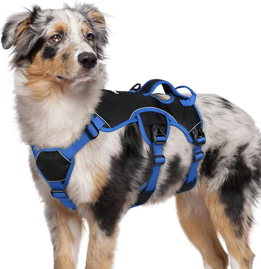rabbitgoo Escape Proof Dog Harness Large Dogs, Soft Padded Full Body Pet Harness, Reflective Adjustable No Pull Vest with Lift Handle and Leash Clip for Walking Hiking Training, Blue & Black, M