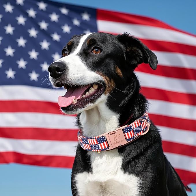 4th of July Dog Collar - US Flag Patriotic Dog Collars for Large Dogs, Adjustable Independence Day Stars & Stripes American Flag Collar L