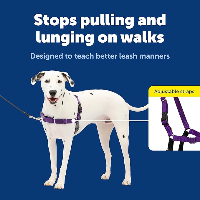 PetSafe Easy Walk Comfort No-Pull Dog Harness Full-Body Padding - Better Walks on the First Use - 5 Points of Adjustment Medium, Blue