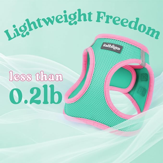 rabbitgoo Dog Harness Small Sized and Leash Set, Step-in Breathable Pet Harness, Soft Walking Reflective Puppy Vest for Small Dogs, Teal & Pink, L