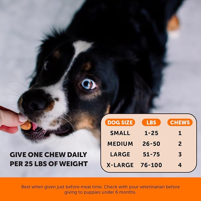 Turmeric Joint Supplement for Dogs - Glucosamine Chondroitin + Omega 3 Fish Oil - Advanced Mobility Support for Achey Joint, Ease Stiffness + Hip Support for Aging Dogs (Pumpkin Coconut, 90 Ct)
