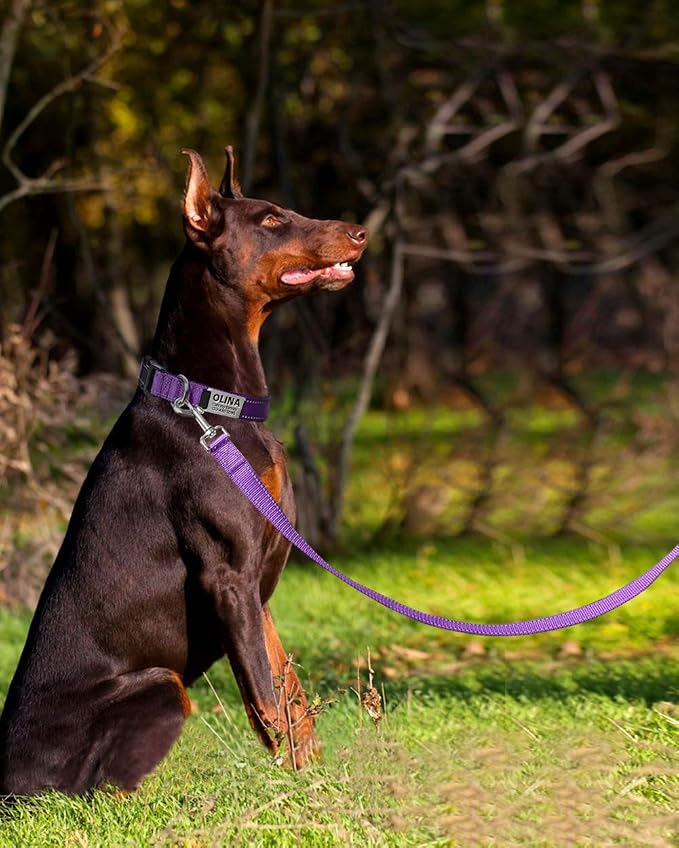 FunTags 6FT Purple Reflective Dog Leash for Large & Medium Dogs Walking, Soft Padded Handle Comfortable Grip, Heavy Duty Nylon, Reflective for Night Walking, 1in Wide