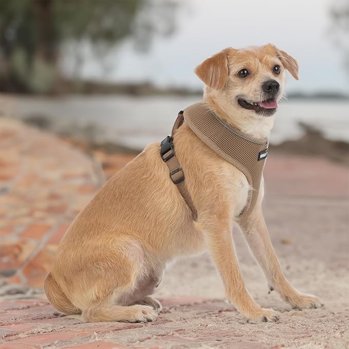 Best Pet Supplies Voyager Aerolite Over the Head Dog Harness, No Pull Breathable Air Mesh Vest, Quick Dry with Reflective Stitching, Adjustable Escape Resistant Harness - Beige, Small