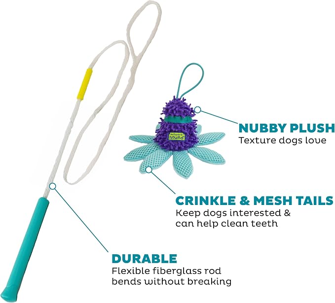 Outward Hound FlyFetch Teaser Wand Dog Toy with Crinkle Attachment, Durable for Indoor & Outdoor Play, All Breeds, 17.7"