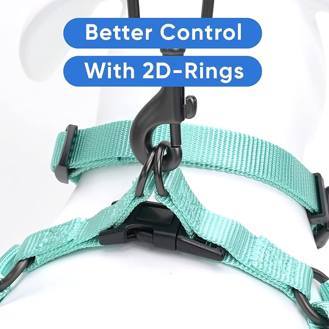 Pawtitas Solid Step-in Dog Harness – Adjustable No-Pull Vest for Puppies to Seniors, Safe & Comfortable L Teal