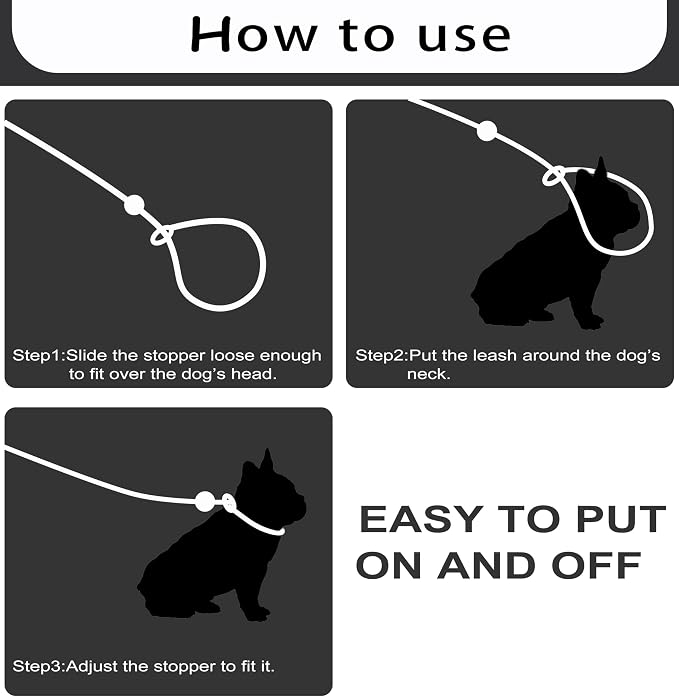 6FT Heavy Duty Slip Lead - No Pull Dog Training Leash, Comfortable & Lightweight, Suitable for Small to Medium Dogs (Black)