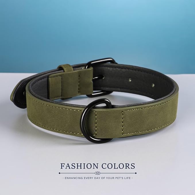 Didog Soft Padded PU Leather Dog Collar, Breathable and Adjustable Dog Collars for Small Dogs, Comfortable for Daily Walk, Dark Green, M Fit Neck 11-14"(10-20 lbs)