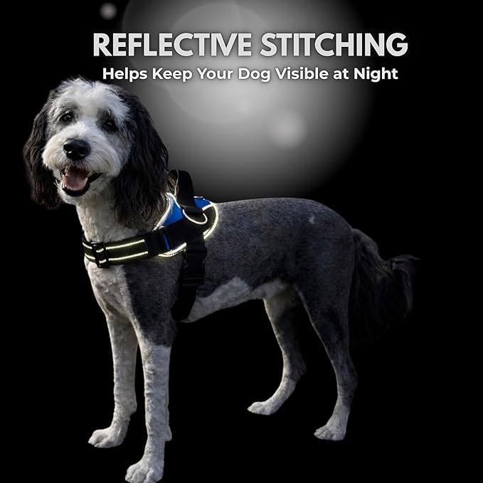 ShawnCo Essential Dog Harness, No-Pull Pet Vest with 3 Leash Clips, No Choke, Reflective, Adjustable and Padded, for Easy Walking and Training for Small, Medium and Large Dogs (Arctic Camo, S)