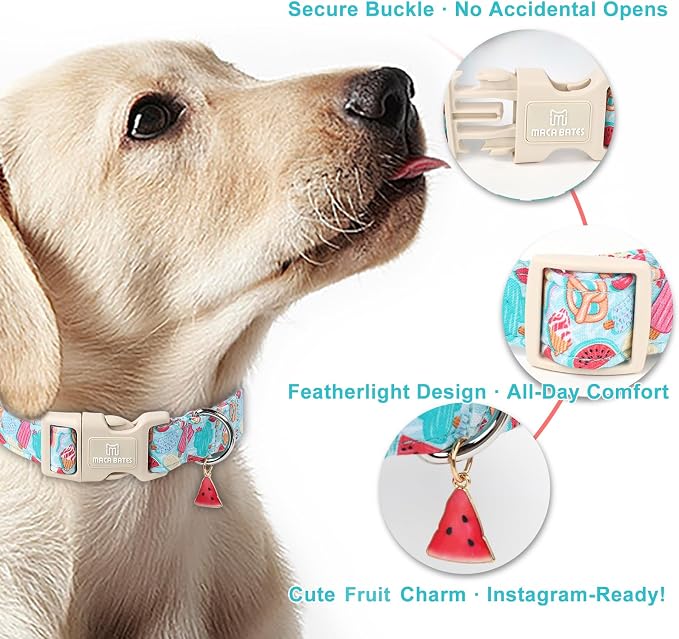 Maca Bates Summer Dog Collar with Watermelon Charm for Large Girl Boy Dogs Blue Ice Cream Print Durable,Soft,Thick,Adjustable Puppy Basic Collars for Male Female with Safety Buckle