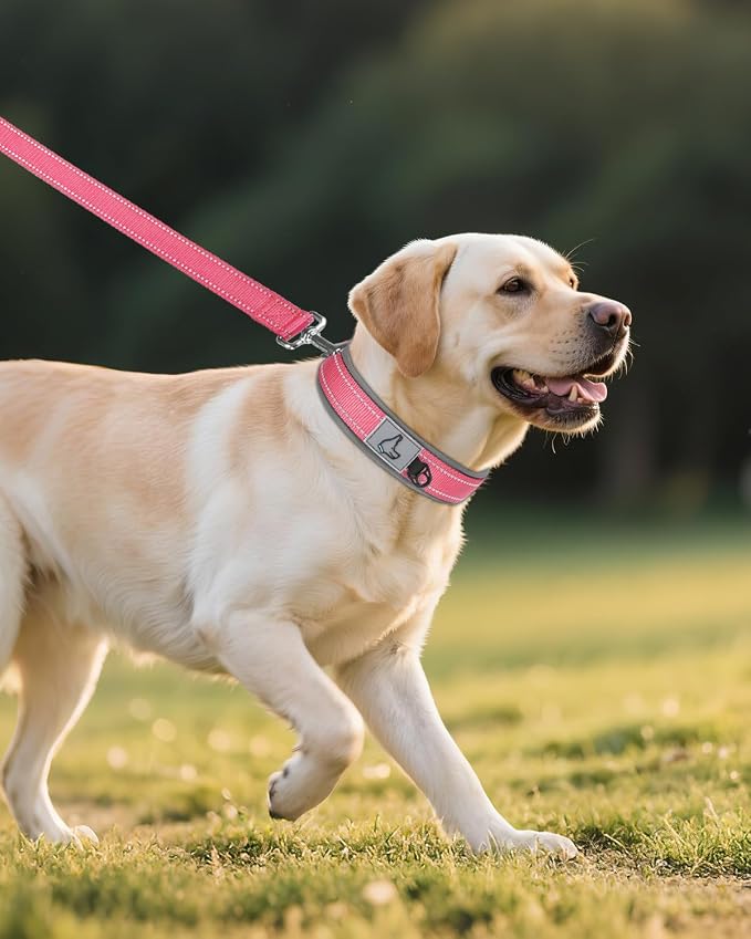 Joytale Dog Collar for Large Dogs, Neoprene Padded and Adjustable, Reflective Wide Heavy Duty Pet Collars with Durable Metal Belt Buckle for Walking, Pink, L