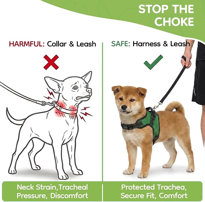 No Pull Reflective Adjustable Dog Harness with Handle- Comfortable Soft All Weather Mesh, Easy On Puppy Harness for Small Medium and Large Dogs (Green) XX-Small