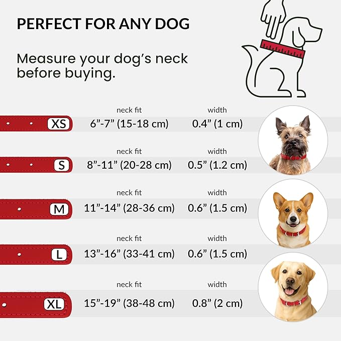 CollarDirect Reflective Rolled Leather Dog Collar, Soft Padded Round Puppy Collar, Handmade Genuine Leather Collar Dog Small Large Cat Collars 13 Colors (8-11 Inch, Red Reflective)
