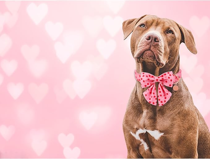 Valentine Dog Collar with Bow Tie, XL, Cotton Collar with Durable Metal Buckle, Red Heart, Neck 16-26in
