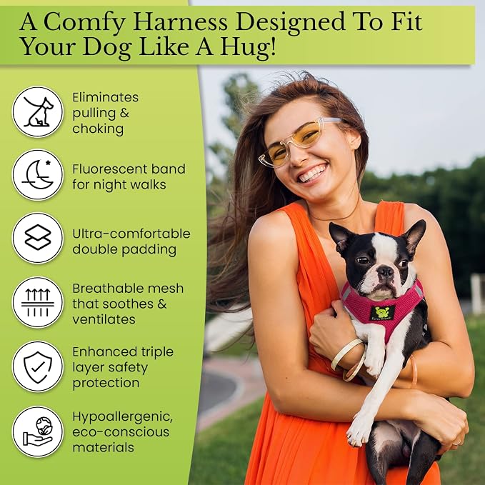 EcoBark Rapid Fastener Super Comfort Fully Adjustable Double Padded Step in Dog Harness (Small, Green)