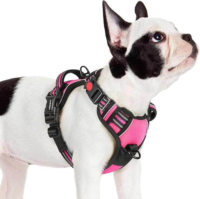 rabbitgoo Dog Harness Small Sized, No Pull Easy On & Off with 3 Buckles Pet Harness, Adjustable Soft Walking Vest with 2 Clips and Handle, Reflective for Small Dogs, Rose Pink, S