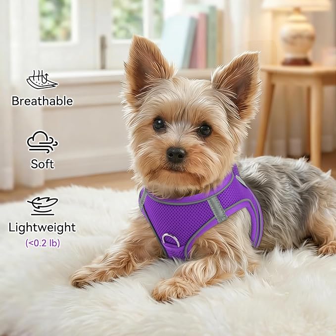 Joytale Small Dog Harness, Breathable Mesh Step-in Vest, Reflective Soft Padded Harnesses for Small and Medium Dogs, Purple, L