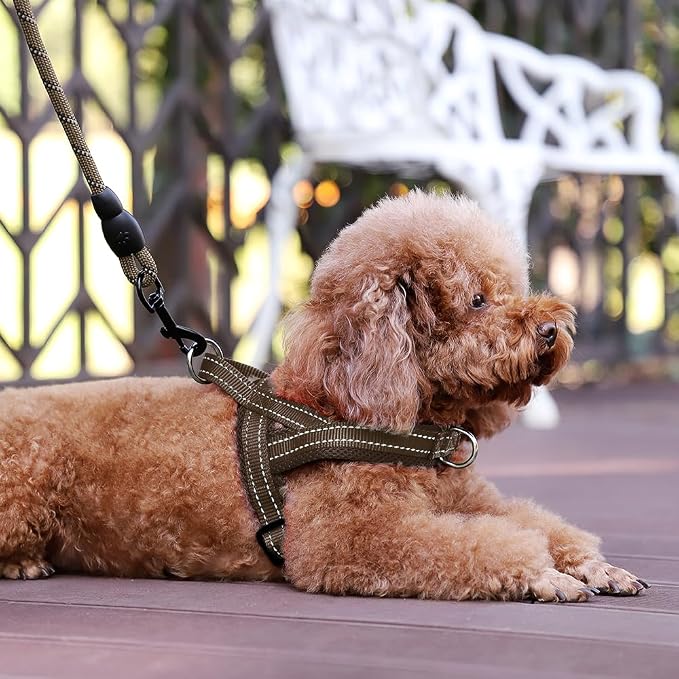 Plutus Pet No Pull Dog Harness with Breathable Mesh Padded, Adjustable Reflective Escape Proof Dog Harness, Quick Fit Dog Vest Harness for Small Medium Large Dogs(XXS, Chocolate)