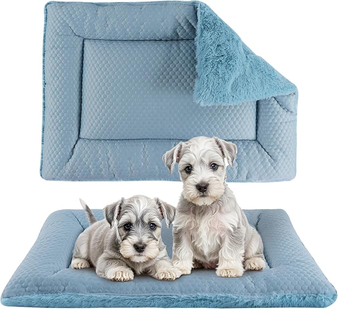 Dog Bed Mat, Crate Pad Reversible,Soft Kennel Pad, Washable Dog Crate Mat (Cool and Warm),Pet Sleeping Mattress for Small Medium Dogs XB009 (36''x23'',Blue)