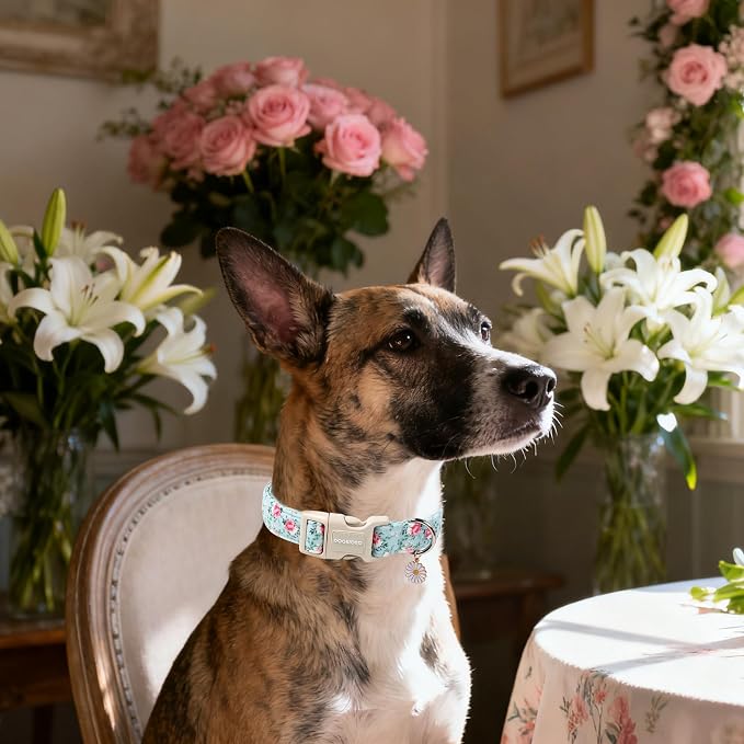 DOGWONG Floral Dog Collar, Cute Adjustable Flower Collar, Girl Female Spring Summer Dog Collar with Strong Plastic Buckle for Small Medium Large Dogs,S