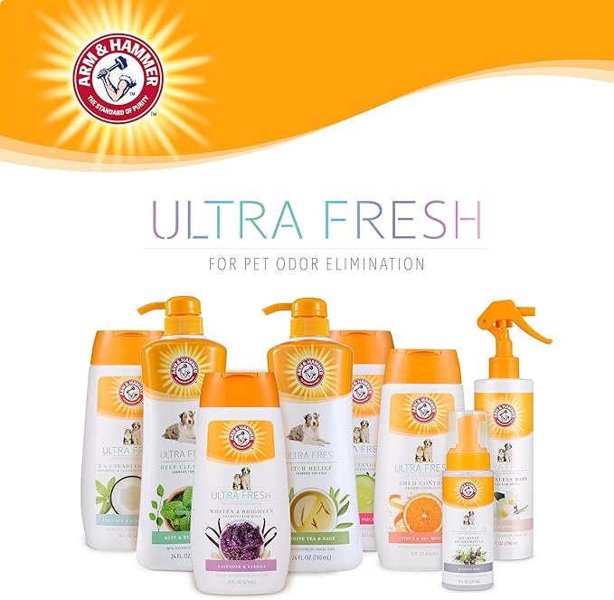 Arm & Hammer Ultra Fresh Charcoal Dog Shampoo with Rosemary Deep Cleansing Odor Control Baking Soda Deodorizing Pet Shampoo Pump Bottle Eucalyptus Mint Scent 24 FL OZ Single Bottle Dog Grooming