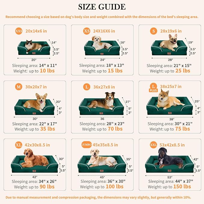 Comfort Expression Orthopedic Dog Bed for Medium Dogs 30x20 Inch, Waterproof Supportive Egg Crate Foam Medium Pet Bed with Removable Bolsters, Dog Couch with Washable Cover & Non-Slip Bottom, Emerald