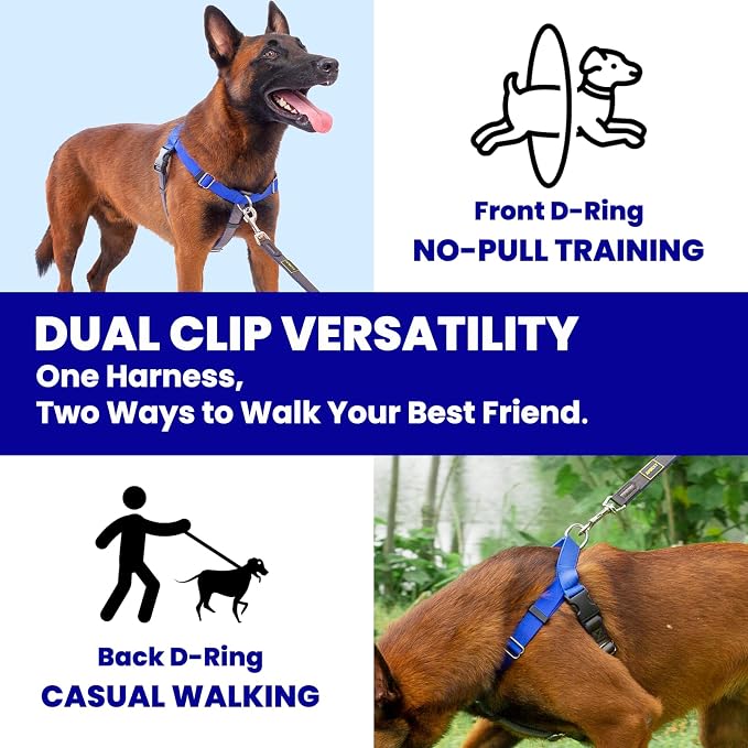 Easy Walk No Pull Dog Harness, Freedom Walk with Front and Back Clips Stainless D-Rings, Comfortable, Sewn-in Instructions Tags for Easy Use, for Medium Dogs Weight 30-39lbs (Blue, M)