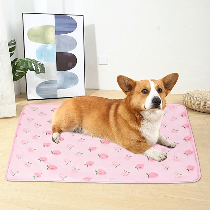 DELIFUR Cat Cooling Mat- Pet Cooling Mat Outdoor for Dogs Self Cooling Pad for Kitten Cat Puppy Machine Washable (Small, Pink Peach)