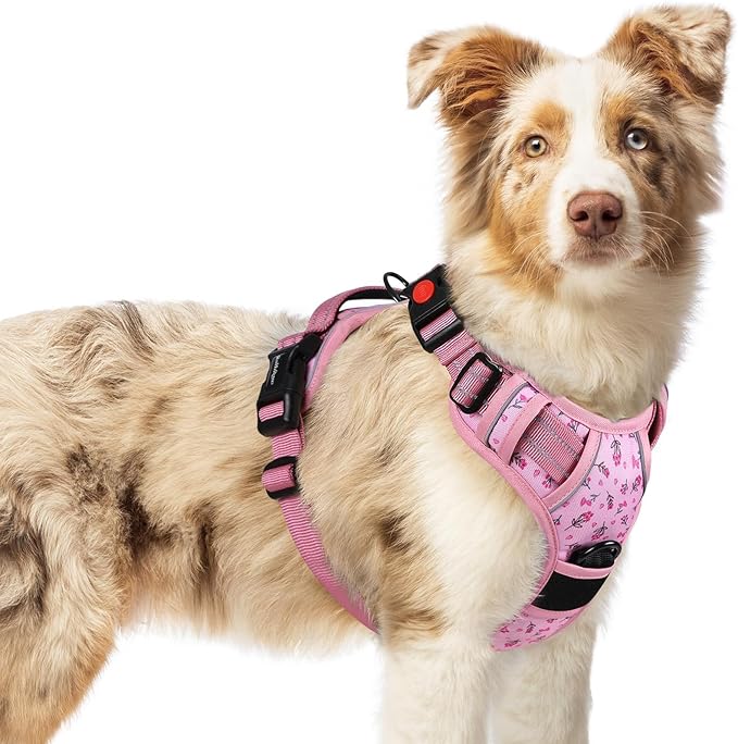 rabbitgoo Dog Harness Medium Sized, No Pull Easy On & Off with 3 Buckles Pet Harness, Adjustable Soft Walking Vest with 2 Clips and Handle, Reflective for Medium Dogs, Floral Pink, M
