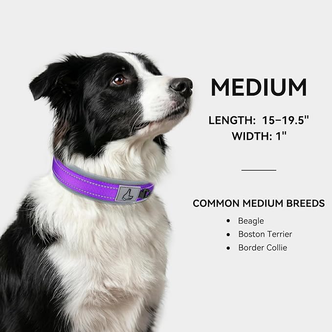 Joytale Dog Collar for Medium Dogs, Neoprene Padded and Adjustable, Reflective Wide Heavy Duty Pet Collars with Durable Metal Belt Buckle for Walking, Purple, M