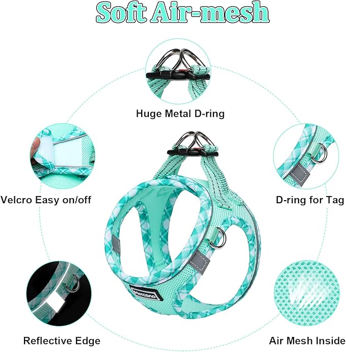 Mercano Soft Mesh Dog Harness and Leash Set, Step-in Reflective Breathable Lightweight Vest Harnesses with Safety Buckle for Small Dogs, Cats (Light Green, S)