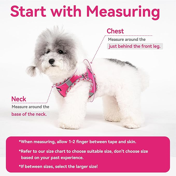Petank Dog Harness for Small Medium Dogs No Pull, Puppy Harness and Leash Set for Walking, Running, Training, Small Dog Harness, Medium Dog Harness (Brown, M)
