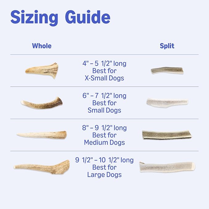 Amazon Basics Split Elk Antler, Naturally Shed, Long Lasting for Aggressive Chewers, X-Large (Best for Dogs Over 45 lbs) (Previously Wag)