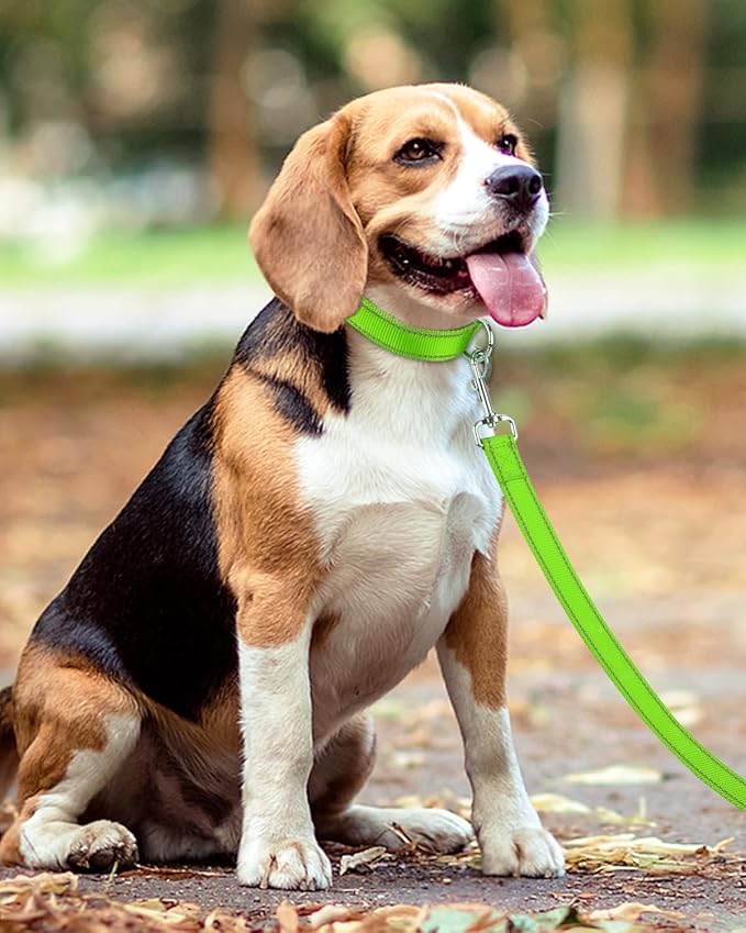 Taglory Dog Leash for Small Dogs, Double-Sided Reflective for Night Walking, Neoprene Padded Handle, 3/4 inch by 5 ft, Lightweight for Small Medium Breeds up to 30 lbs, Green