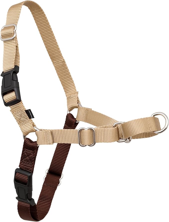 PetSafe Easy Walk No-Pull Dog Harness - Ultimate Harness to Help Stop Pulling - Pull-Free Walks - Take Control & Teach Better Leash Manners - Patented Martingale Loop Design - Fawn, Medium
