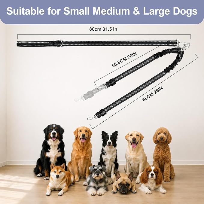 Double Dog Leash for Two Dogs, Complete Set with 31.5" Main Leash + Adjustable Splitter, Padded Handle, D-Ring, 360° Swivel, Shock-Absorbing Bungee, Reflective for Small Medium Large Dogs (Black)