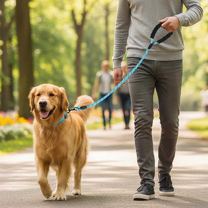Heavy Duty Dog Leash - 4.9 FT for Large and Small Dogs - Strong Nylon, Comfortable Handle, Reflective Stitching - Ideal for Walking, Training, and Outdoor Activities, Sky Blue