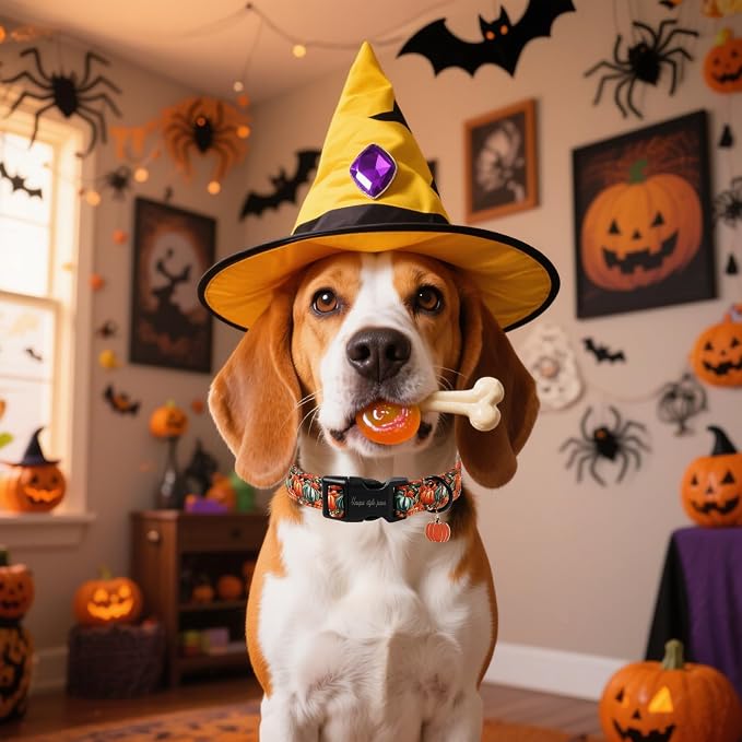 Unique style paws Dog Collar Plastic Buckle with Pendant Halloween Oil Painting Pumpkin Party Puppy Collars for Small Medium Large Boys Girls Dogs