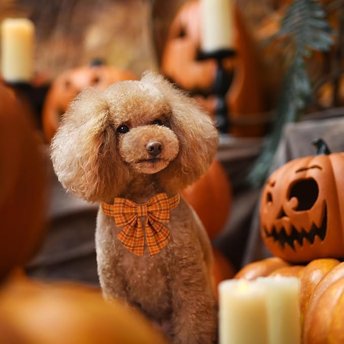 Maca Bates Fall Pumpkin Plaid Dog Collar with Sailor Bow Tie for Small Girl,Boy,Autumn Checkered Puppy Collars with Bowtie,Halloween Gingham Print Adjustable Breakaway Soft for Male Female Dogs