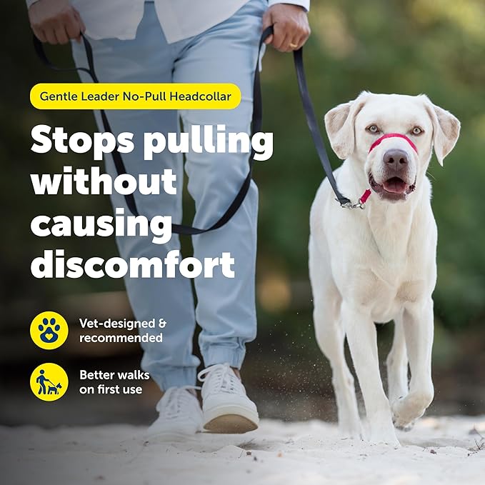 PetSafe Gentle Leader No-Pull Dog Headcollar - The Ultimate Solution to Pulling - Redirects Your Dog's Pulling for Easier Walks - Helps You Regain Control - Large, Red