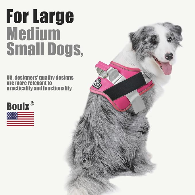 Dog Harness, No-Pull Reflective Dog Vest, Breathable Adjustable Pet Harness with Handle for Outdoor Walking - No More Pulling, Tugging or Choking (Fuchsia, Large (Pack of 1))