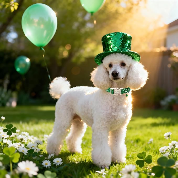 St. Patrick's Day Dog Collar for Small Dogs - Bold Green Lucky Clover Dog Collars, Cute Irish Party Shamrock Puppy Collar, Lightweight Adjustable St. Patricks Day Pet Collars XS
