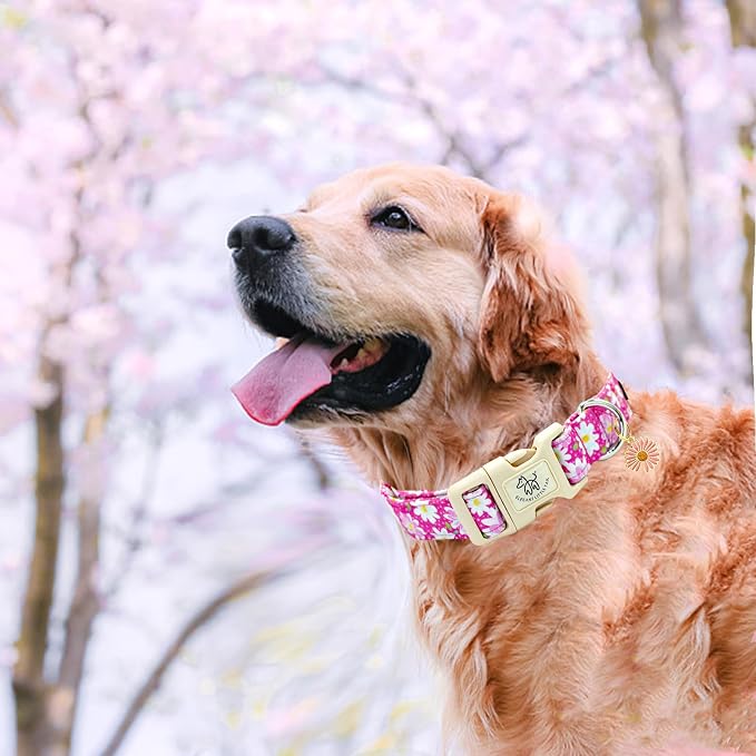 Elegant little tail Dog Collar, Pink Floral Print Pink Puppy Male Adjustable Cotton Pet Collar with Quick Release Buckle for Small Medium Large Dogs